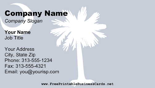 Flag of South Carolina business card